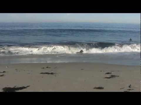 Youtube: Relaxing 3 Hour Video of California Ocean Waves