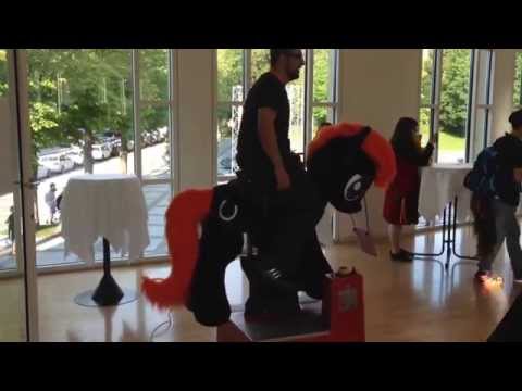 Youtube: GalaCon 2014 Flick Rodeo