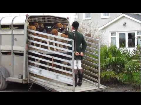 Youtube: Suir Vale Harriers Hunt Rahaelty Feb 2013