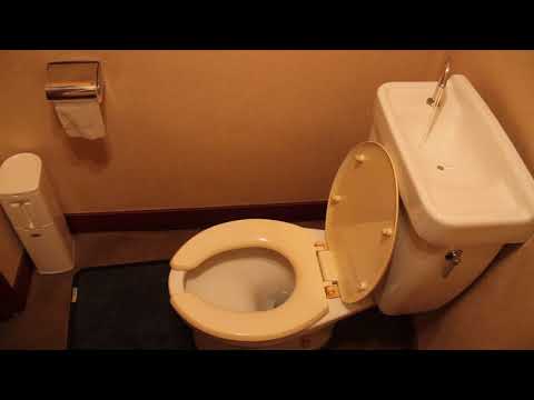 Youtube: Sink built into toilet in Japan