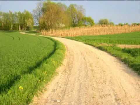 Youtube: Martin Heidegger "Der Feldweg" (deutsch/german)