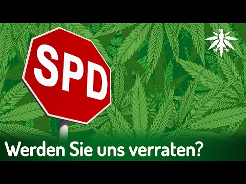 Youtube: Werden sie uns verraten, die Sozialdemokraten? | DHV-News # 403