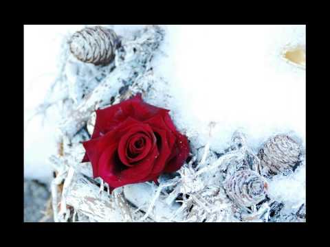 Youtube: Tori Amos - "Holly, Ivy and Rose"