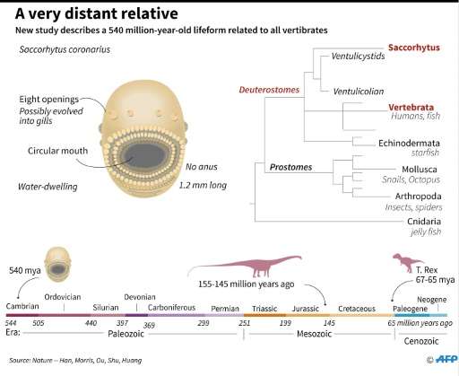 averydistant