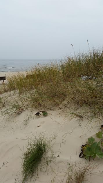 Usedom1