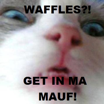MEMES-waffles-get-in-ma-mauf-cat-face