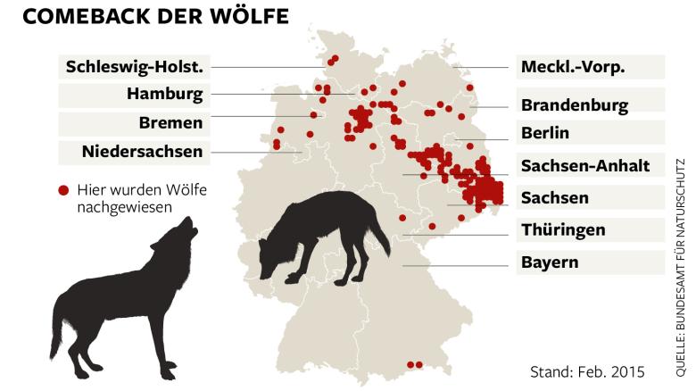 DWO-IP-Woelfe-Karte-Aufm