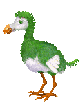 dodo-bird