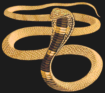 037245 Sacred Serpent