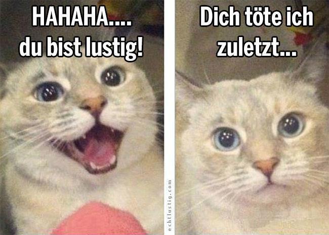 hahaha-du-bist-lustig--doch-toete-ich-zu