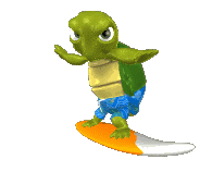 turtle surfing on surfboard lg clr