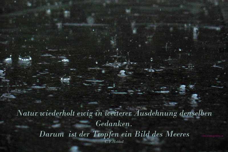 Regen76.1jpg