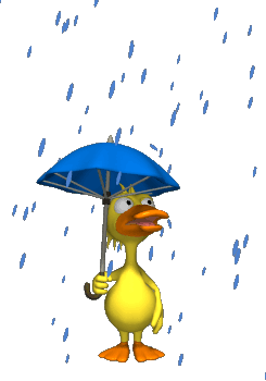 rainy-duck-Cj7pHm-clipart