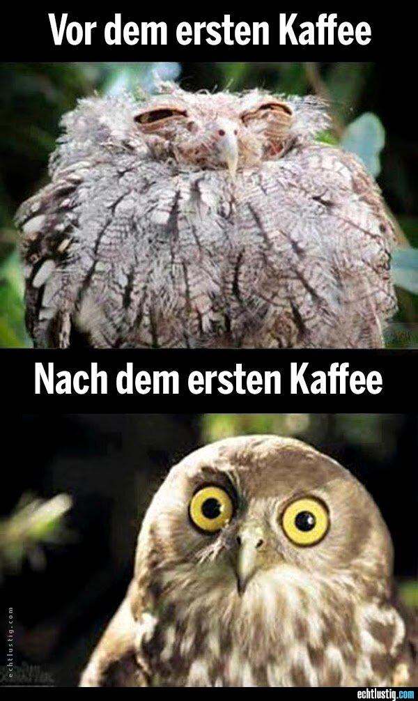 5254ce vor-und-nach-dem-ersten-kaffee