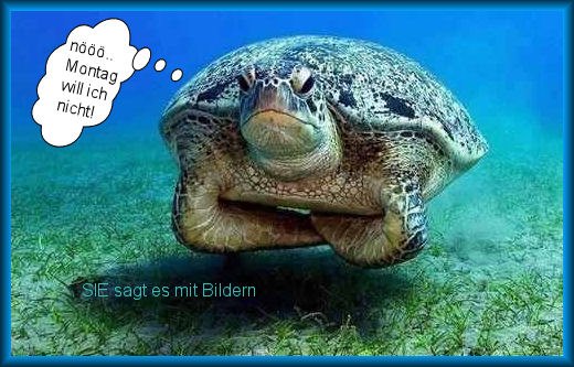 Bilder-Thread 533899 409764999092697 1864522734 n