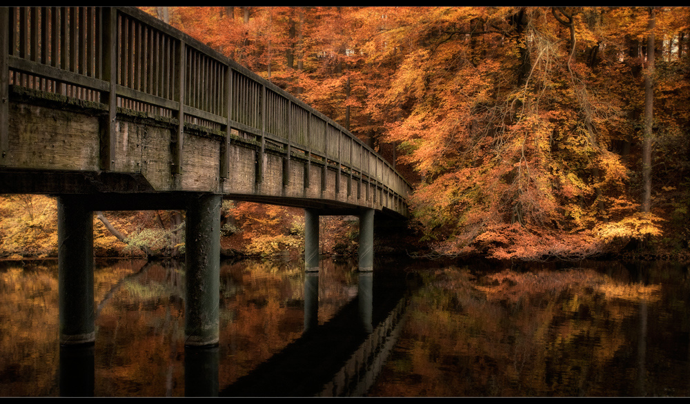 Bilder-Thread bruecke-807ae89c-5382-487e-8d6d-7faf3fdc