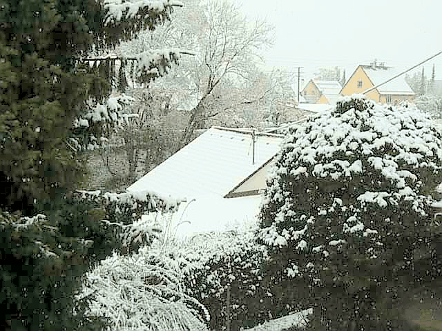 snow-2