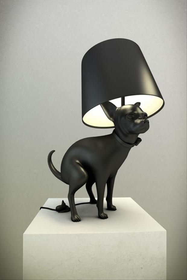 Bilder-Thread dog-pooping-lamp-wtf-products