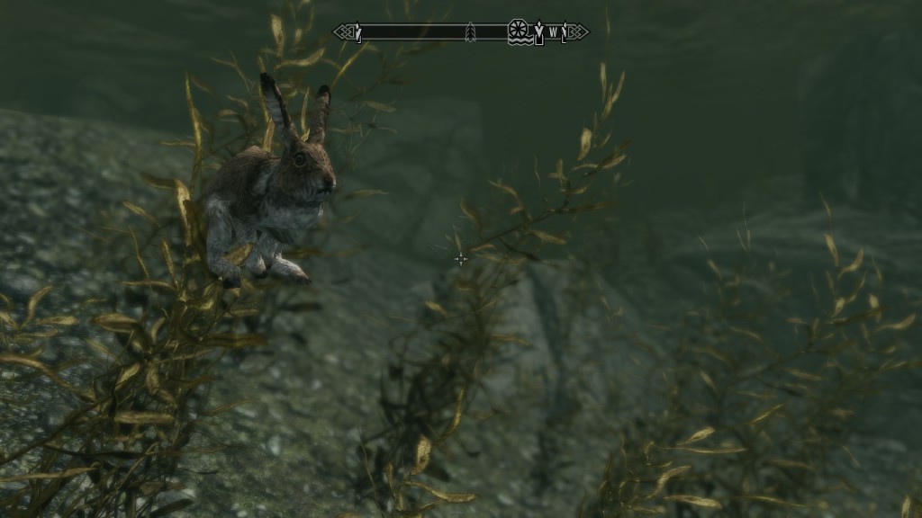 skyrim wasserhase