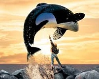 freewilly