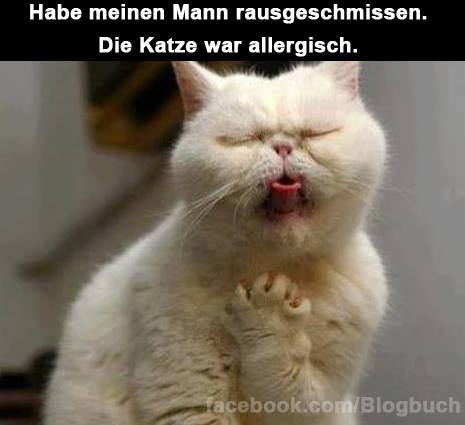 Bilder-Thread 62347 583976948350800 1949024999 n