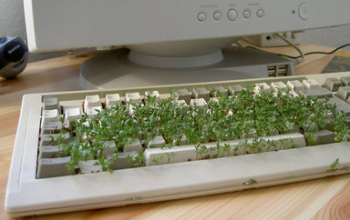 Bilder-Thread tastaturkresse
