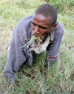 Bilder-Thread man-eating-grass