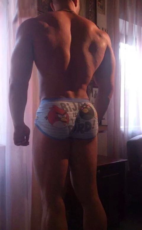 Mister Allmy 2014 - Erstes Voting image