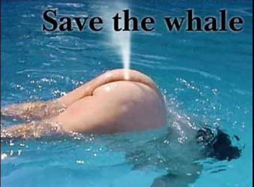 Save the whale