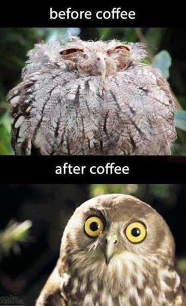 Bilder-Thread picdump-13-09-20-056