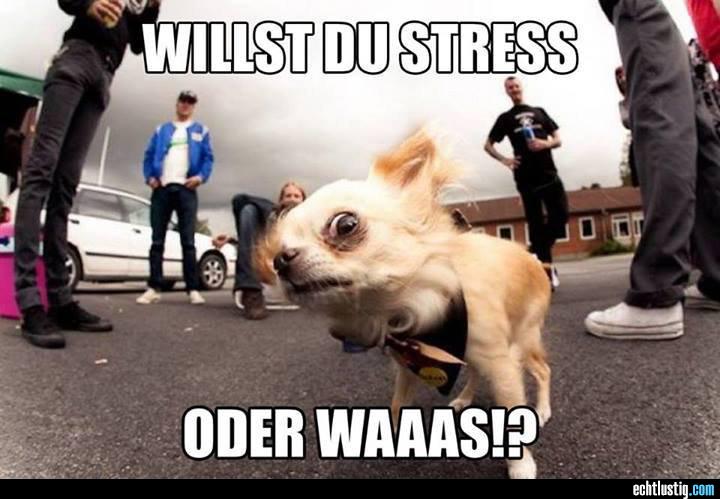 t1051ac willst-du-stress-oder-was