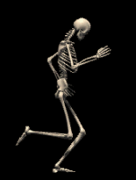 skelett 0014