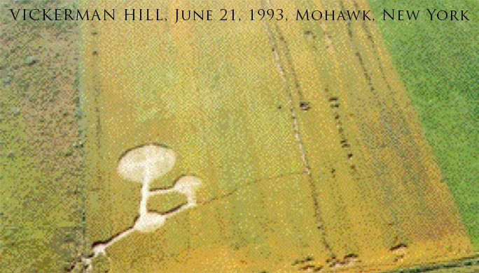 crop-circle-vickerman-hill-6-21-1993