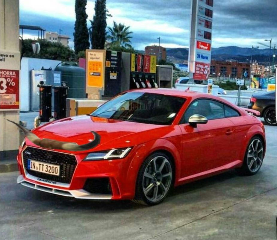 longhorn ttrs