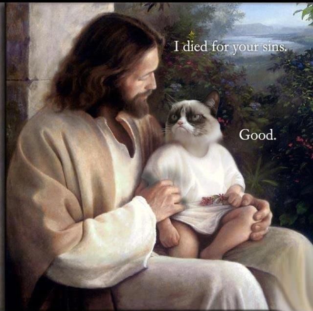 Grumpy-Cat-meets-Jesus