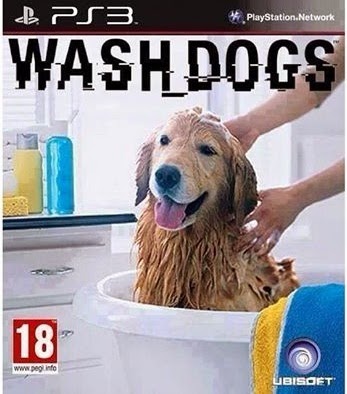 wash dogs