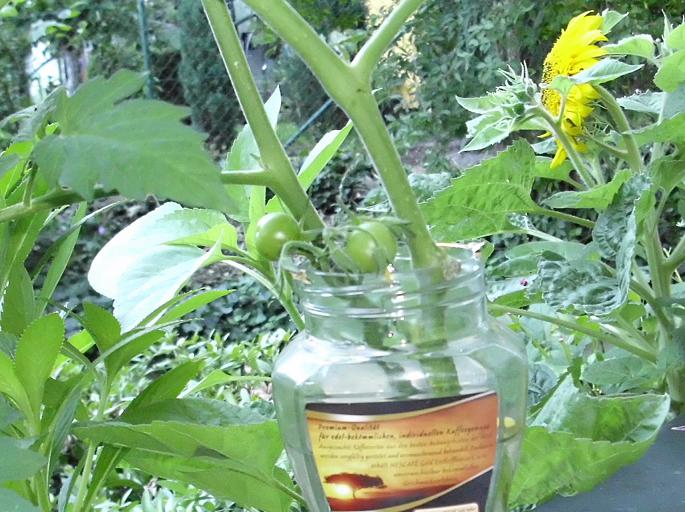 tomaten im glas
