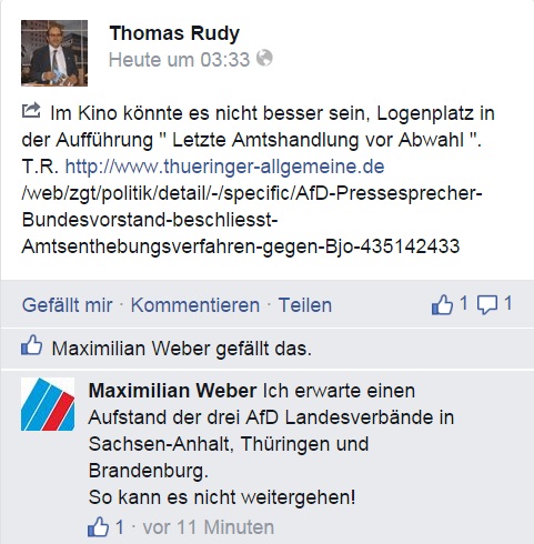 AfD Aufstand