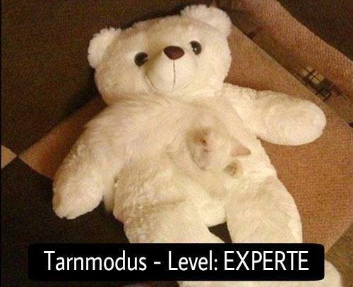 Bilder-Thread y1