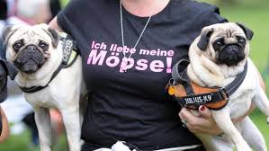 moepse