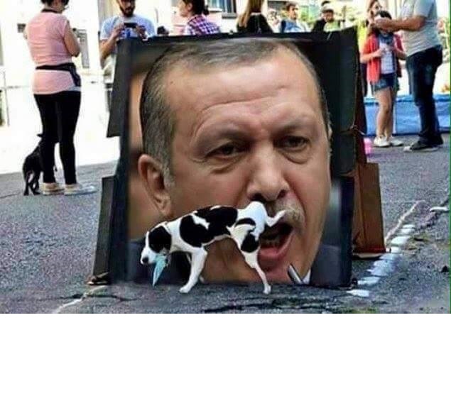 erdopiss