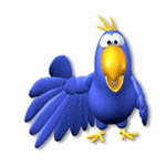 parrot-014