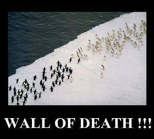 Bilder-Thread Pingu wall of death