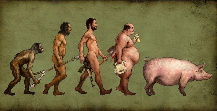 human-evolution