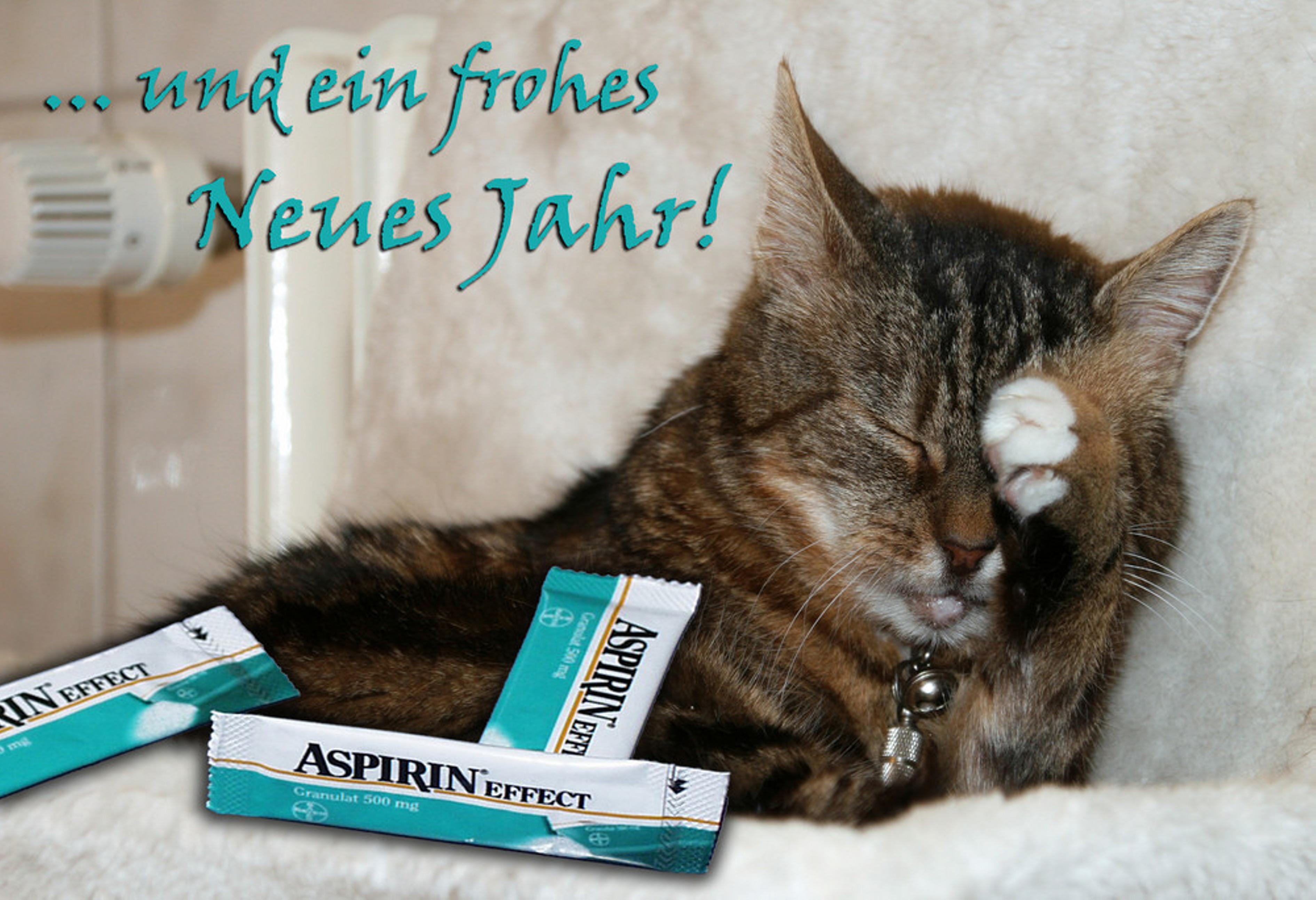 gibt es hier heiße Frauen die auf Katzen stehen? (zwischen 20 und 26) frohes-neues-jahr-64281bbd-9d78-4f1c-8be