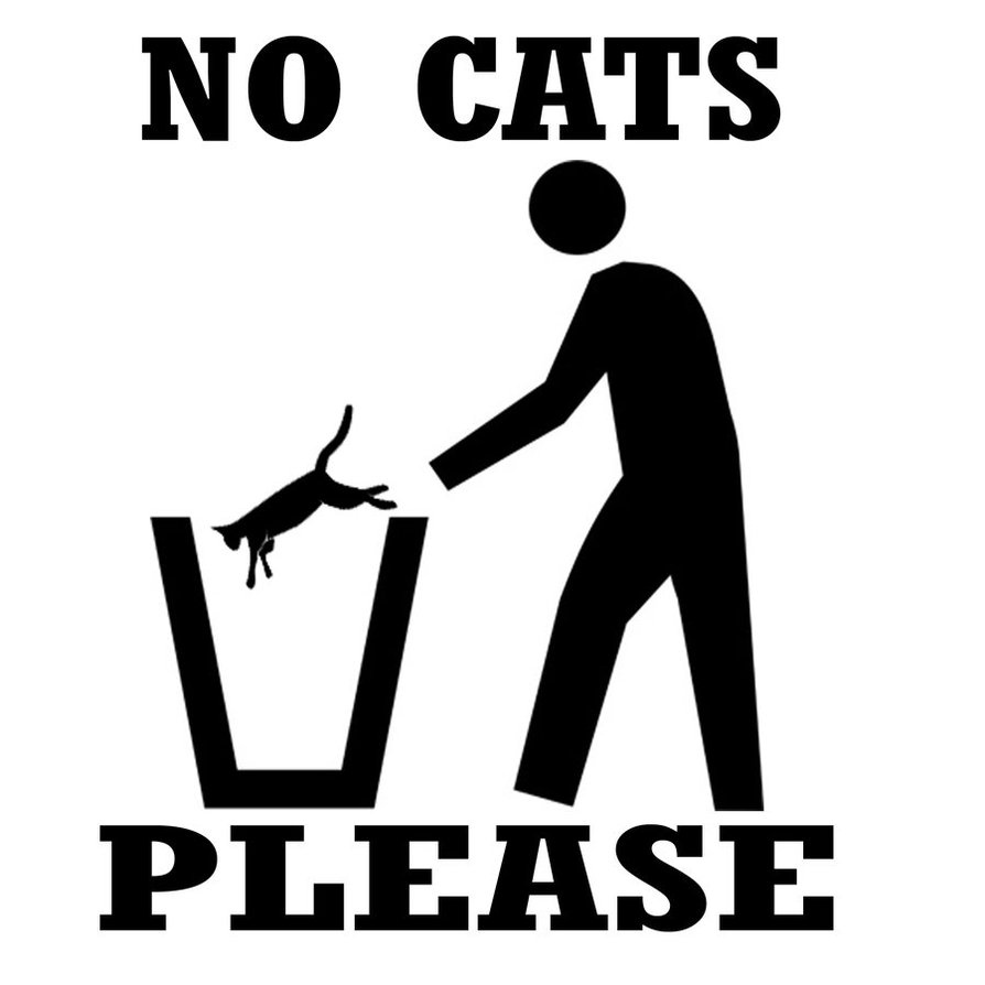 no cats please