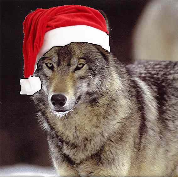 christmaswolf-predwolfblogspotcom