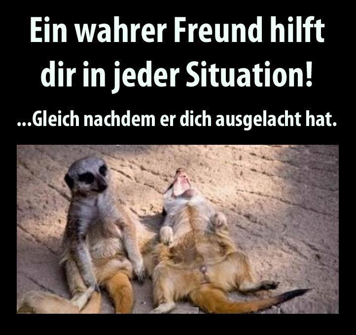 Bilder-Thread 575999 435754419839721 1176702938 n