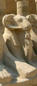 Widdersphinx14050-web