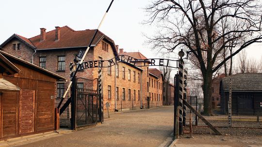 auschwitz-540x304